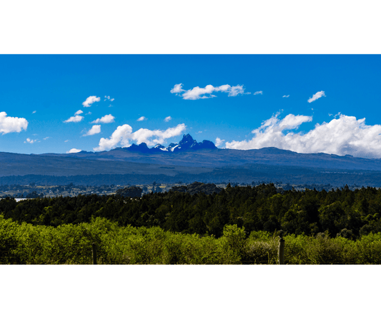 KENYA Select PLUS AA - ROASTIKA