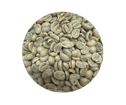 Mexico Chiapas HG EP Green Coffee Beans - ROASTIKA