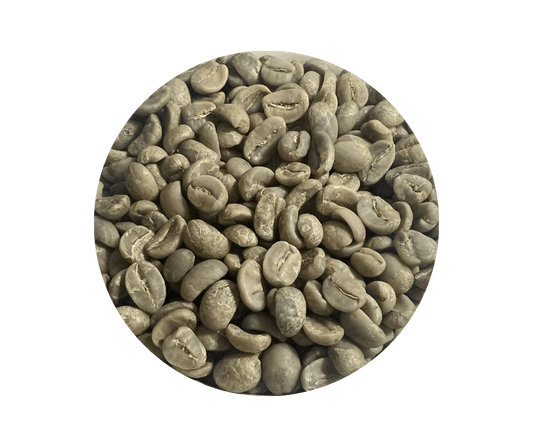 Nicaragua SHG EP Jinotega Finca Las Camelias - ROASTIKA