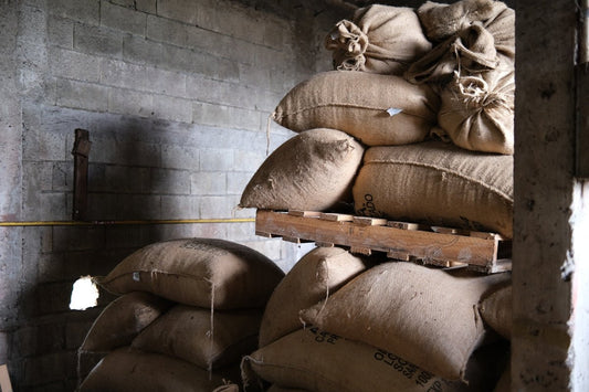 A Guide to Seasonal Green Coffee Harvesting by Region - ROASTIKA