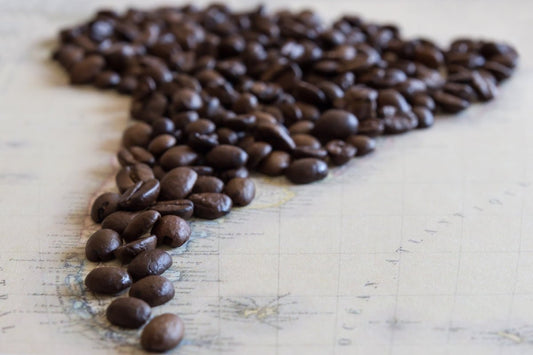 Addressing Key Challenges in Scheduling Green Coffee Shipments from Multiple Countries - ROASTIKA