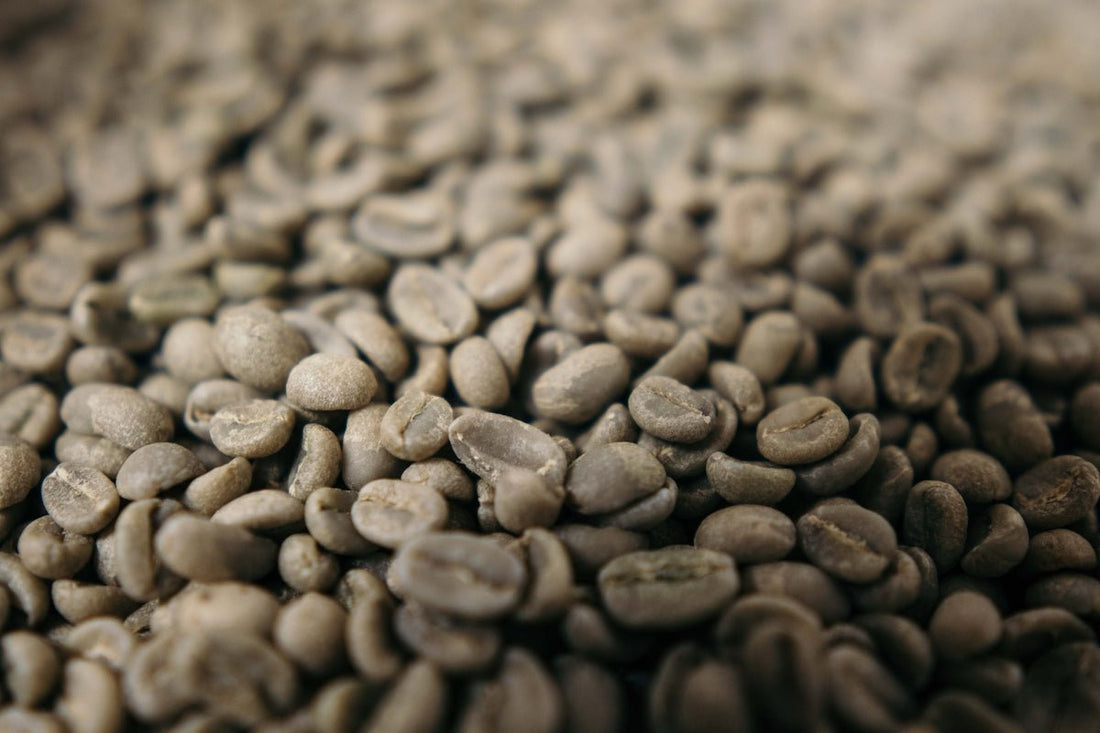 Align Your Green Coffee Inventory with Harvest Periods: A Detailed Guide - ROASTIKA