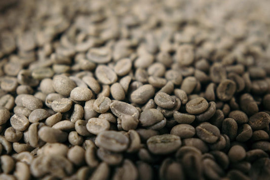 Align Your Green Coffee Inventory with Harvest Periods: A Detailed Guide - ROASTIKA