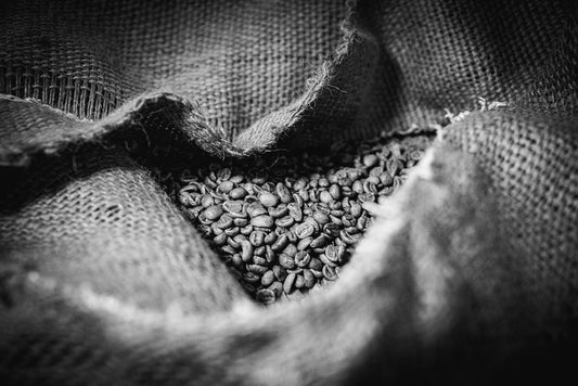 An Editorial on the Current Trends in Green Coffee Harvesting - ROASTIKA