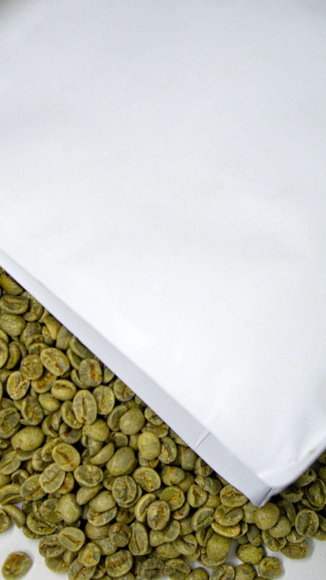 An Insightful Look at How Regions Affect Green Coffee Harvest and Delivery - ROASTIKA