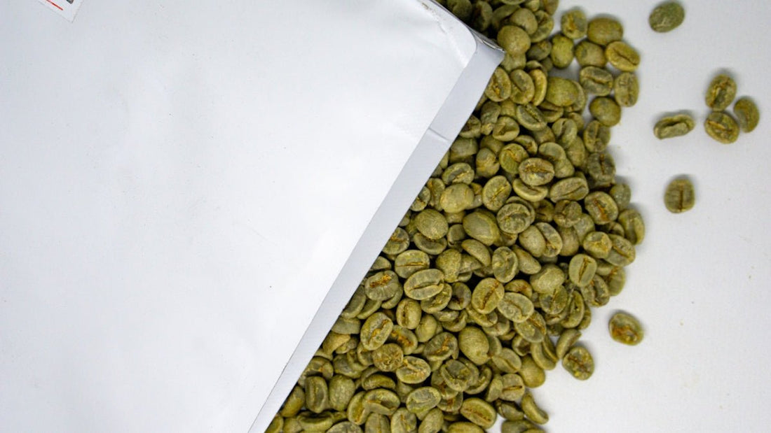 Behind the Scenes of Green Coffee Harvesting Timelines Across the World - ROASTIKA