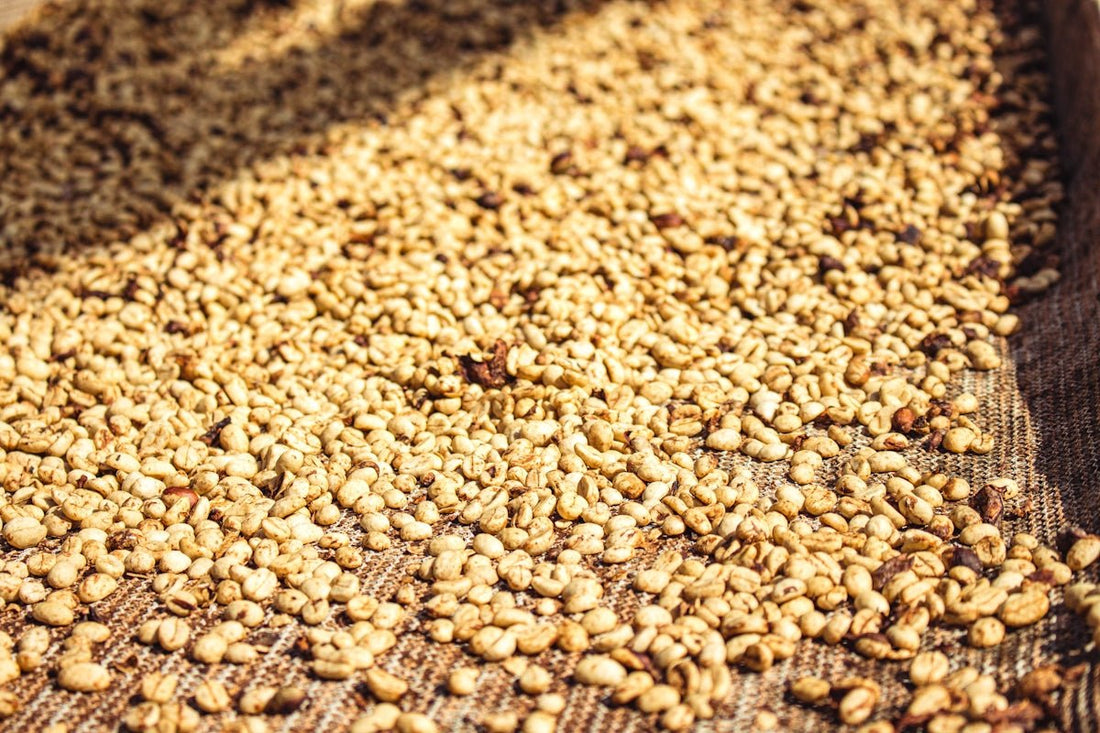Checklist for Managing Green Coffee Harvest and Delivery from Around the World - ROASTIKA