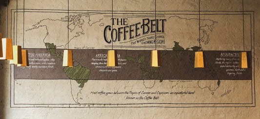 Discover the Intricacies of Green Coffee's Unroasted Harvest Cycle - ROASTIKA
