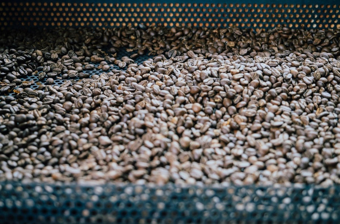 Educate Yourself on Seasonal Dynamics of Green Coffee from Different Origins - ROASTIKA