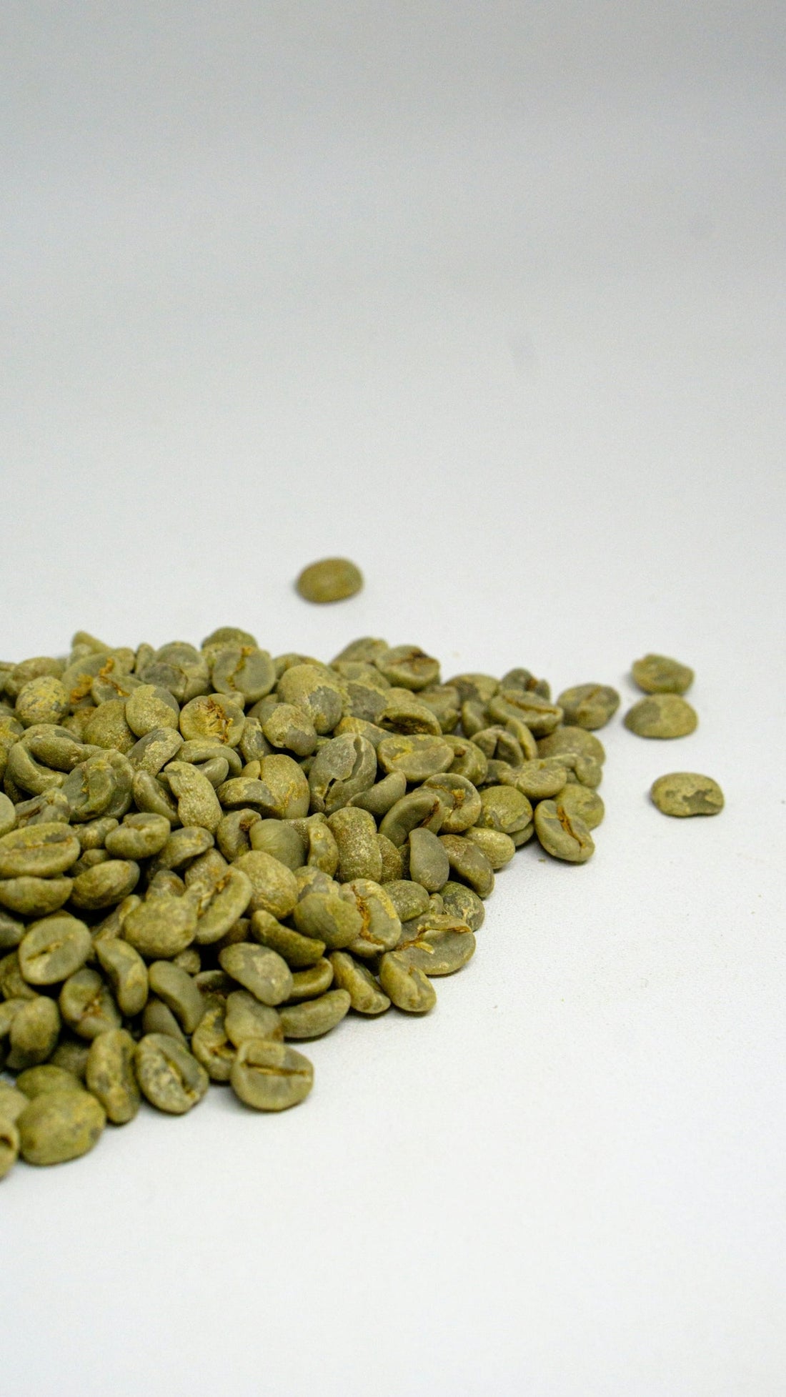 Exploring Green Coffee Harvest Cycles from Brazil to Ethiopia - ROASTIKA