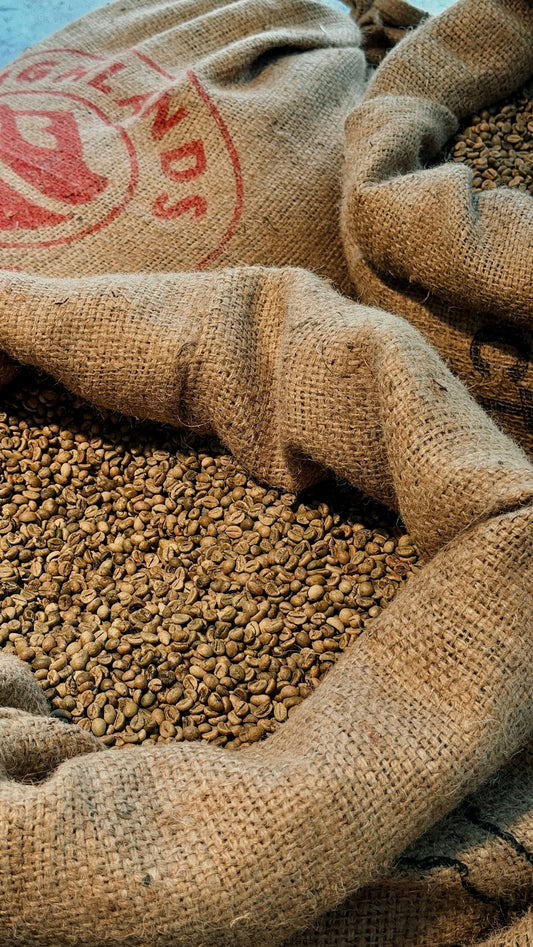Exploring the Harvest Cycles for Optimal Green Coffee Shipment - ROASTIKA