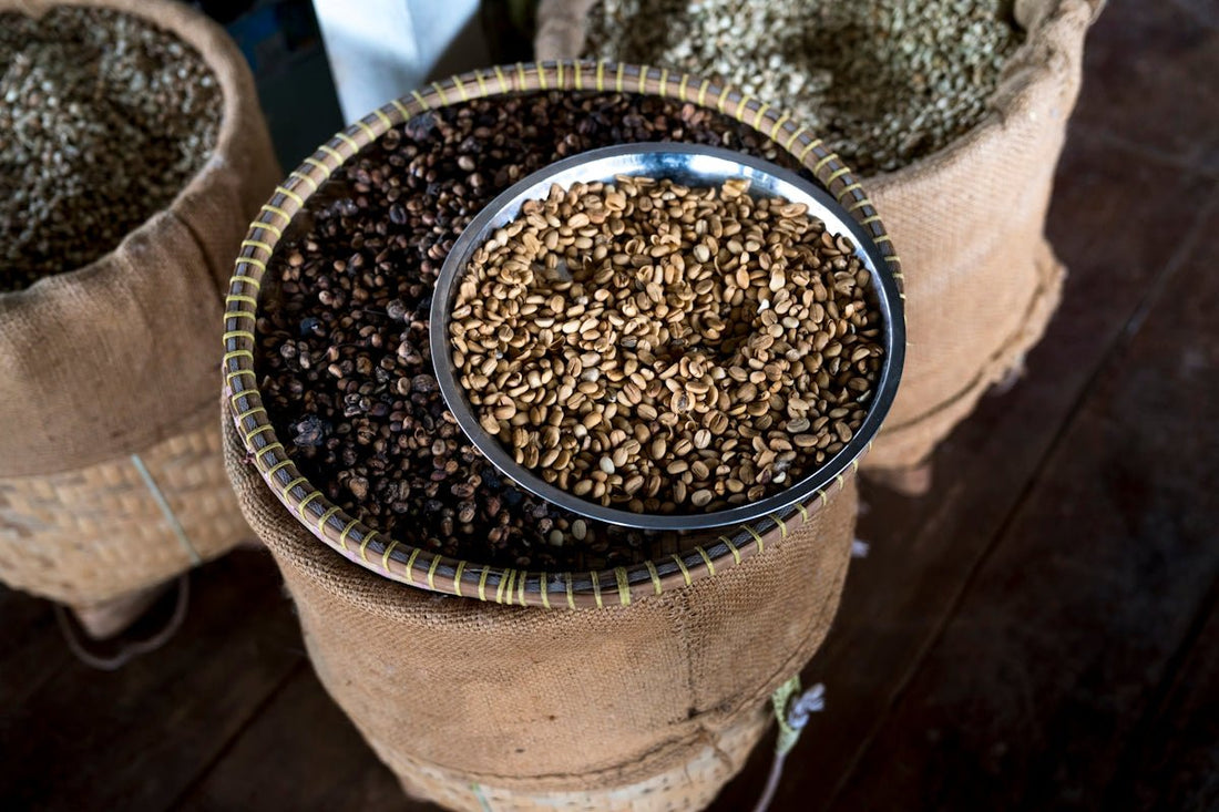 Guide to Managing Green Coffee Shipments from Multiple Origins - ROASTIKA