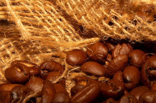 How to Streamline Your Green Coffee Supply Chain by Understanding Harvest Seasons - ROASTIKA
