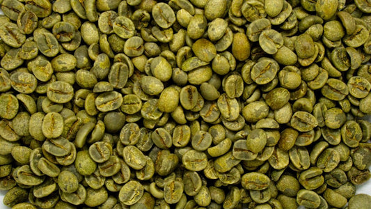 Insider Info on Sourcing Directly from Coffee Growers - ROASTIKA