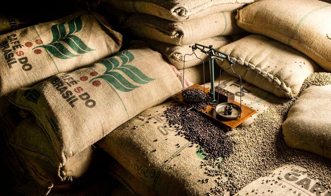 Insights into Region-Specific Green Coffee Harvest and Shipment Schedules - ROASTIKA