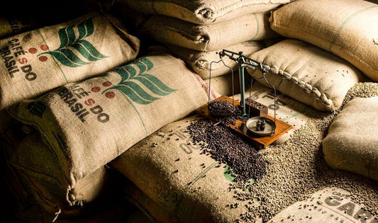 Insights into Region-Specific Green Coffee Harvest and Shipment Schedules - ROASTIKA
