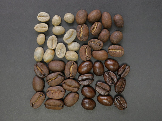 Key Harvest and Shipment Insights for Global Green Coffee Planners - ROASTIKA