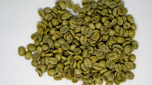 Leveraging Precise Timing in Green Coffee Sourcing: A Complete Guide - ROASTIKA