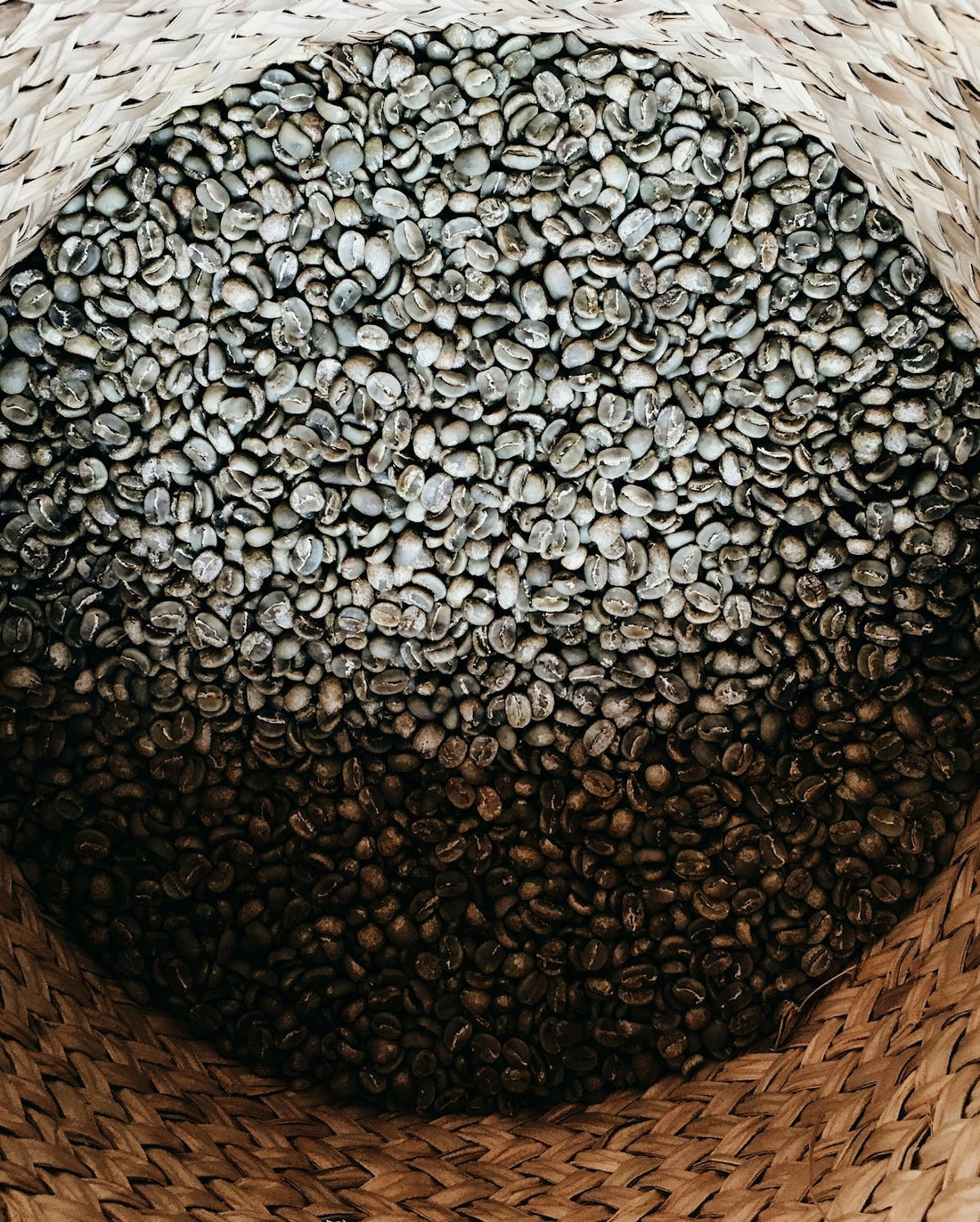 Optimizing Your Green Coffee Buying Strategy by Understanding Harvest Timelines - ROASTIKA