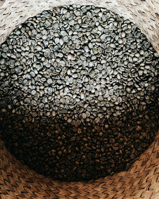 Optimizing Your Green Coffee Buying Strategy by Understanding Harvest Timelines - ROASTIKA