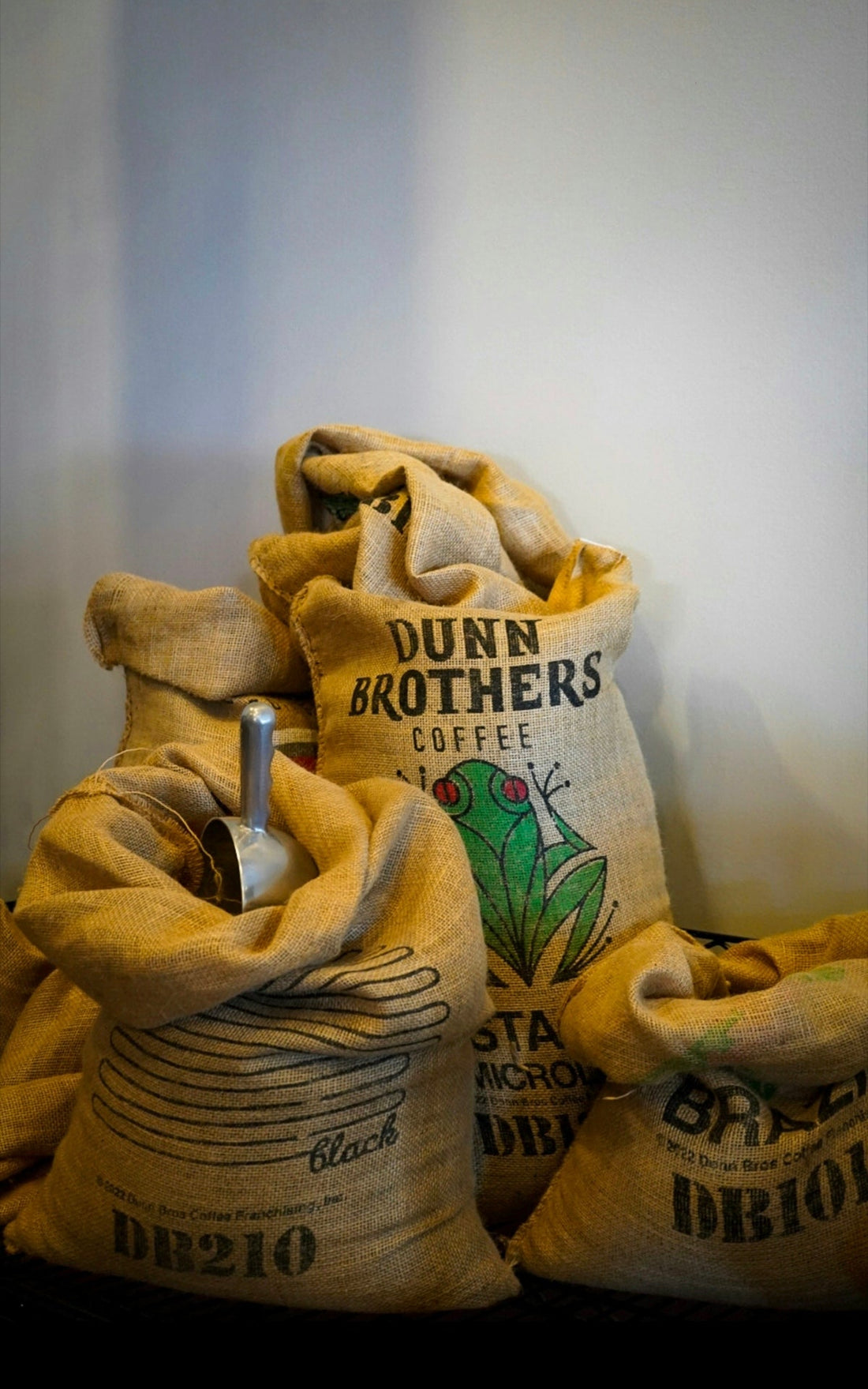 Strategies for Maintaining Quality While Managing Green Coffee Timeline - ROASTIKA