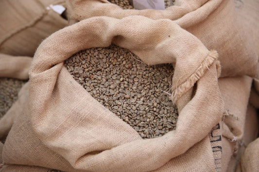 Streamlining the Path from Harvest to Shipment in Green Coffee Trade - ROASTIKA
