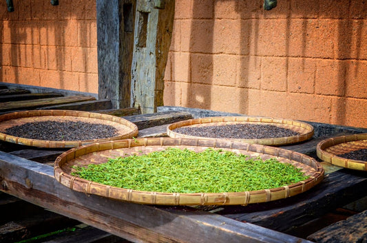The Ultimate Guide to Understanding Green Coffee Harvests by Country - ROASTIKA