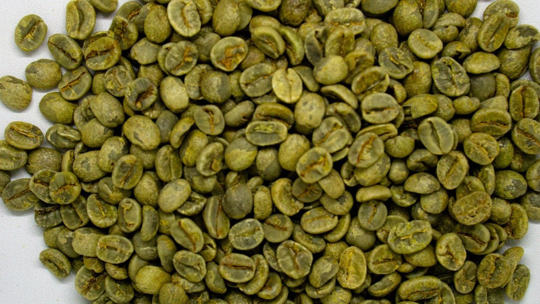 Timing is Everything for Optimal Green Coffee Harvest and Shipping - ROASTIKA