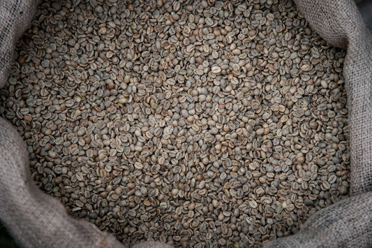 Understanding Green Coffee Harvest Timetables for Effective Sourcing - ROASTIKA