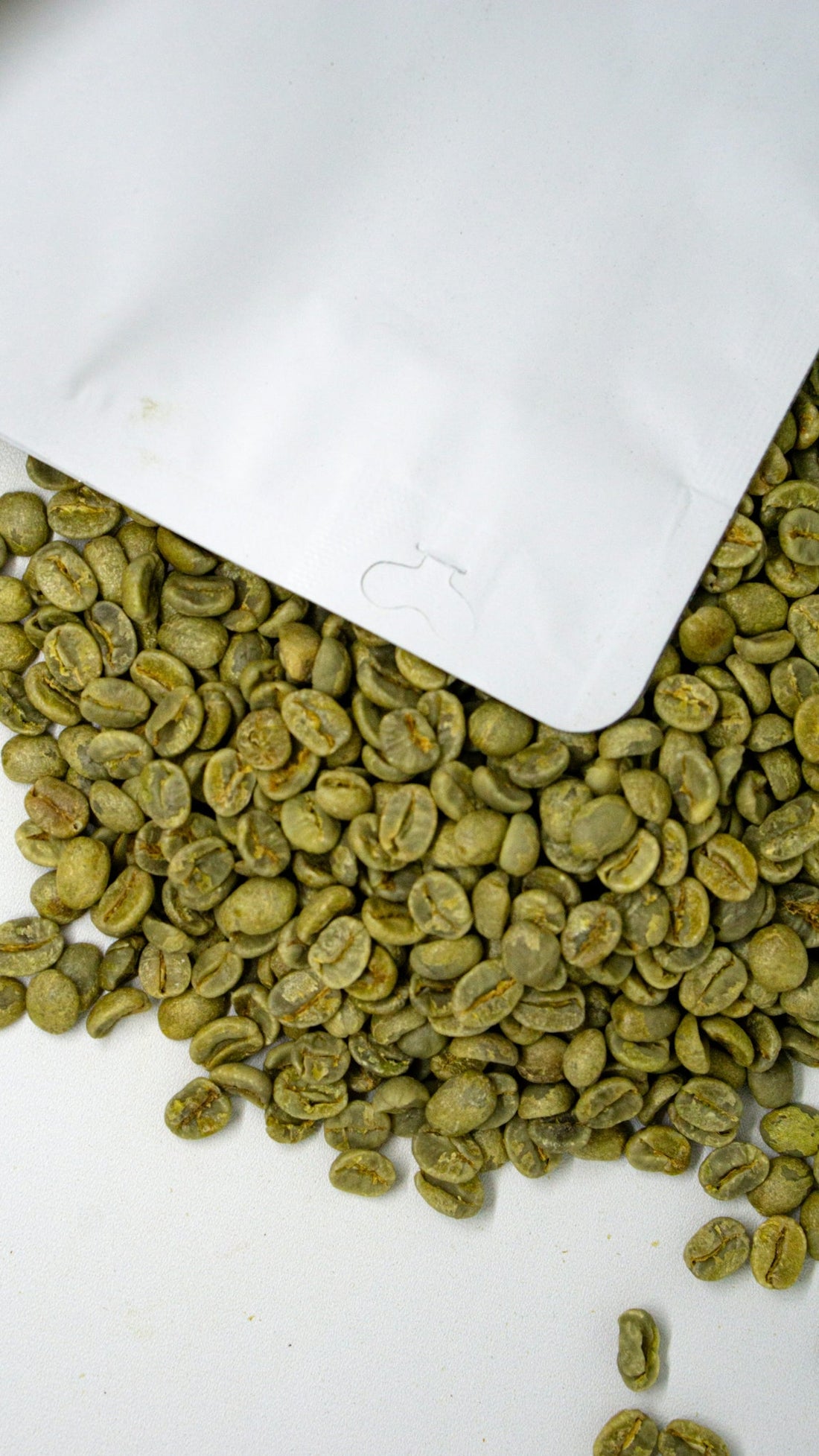 Understanding the Differences in Green Coffee Harvest Timelines for Better Imports - ROASTIKA