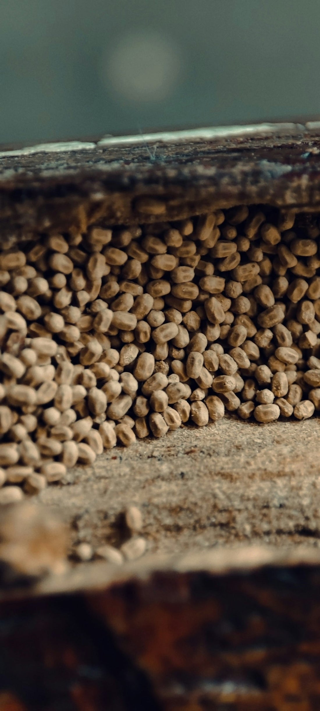 Understanding the Timeline of Unroasted Coffee Harvests - ROASTIKA