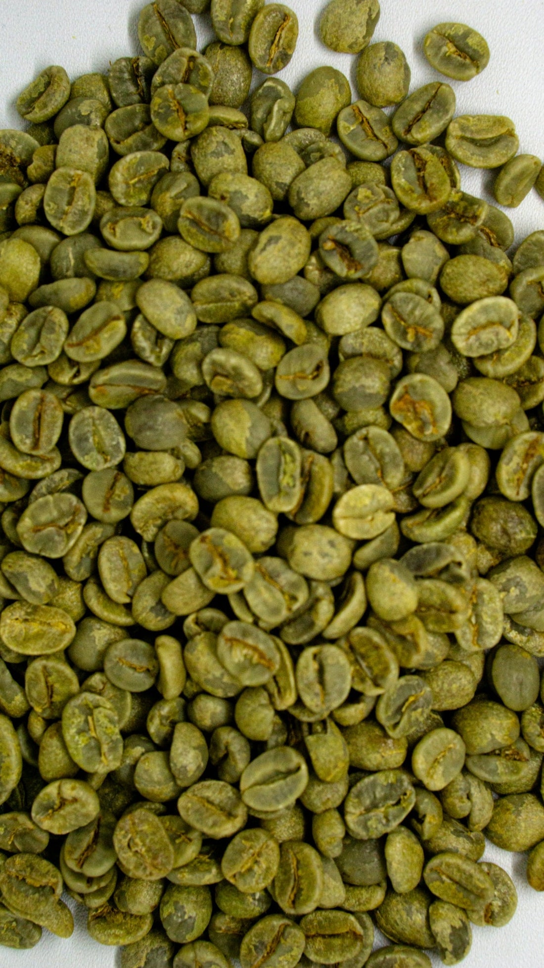 Unroasted Coffee Timelines Demystified for Producers and Buyers - ROASTIKA