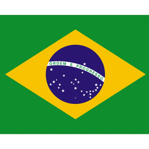 Brazil Cerrado Green Coffee Beans - ROASTIKA