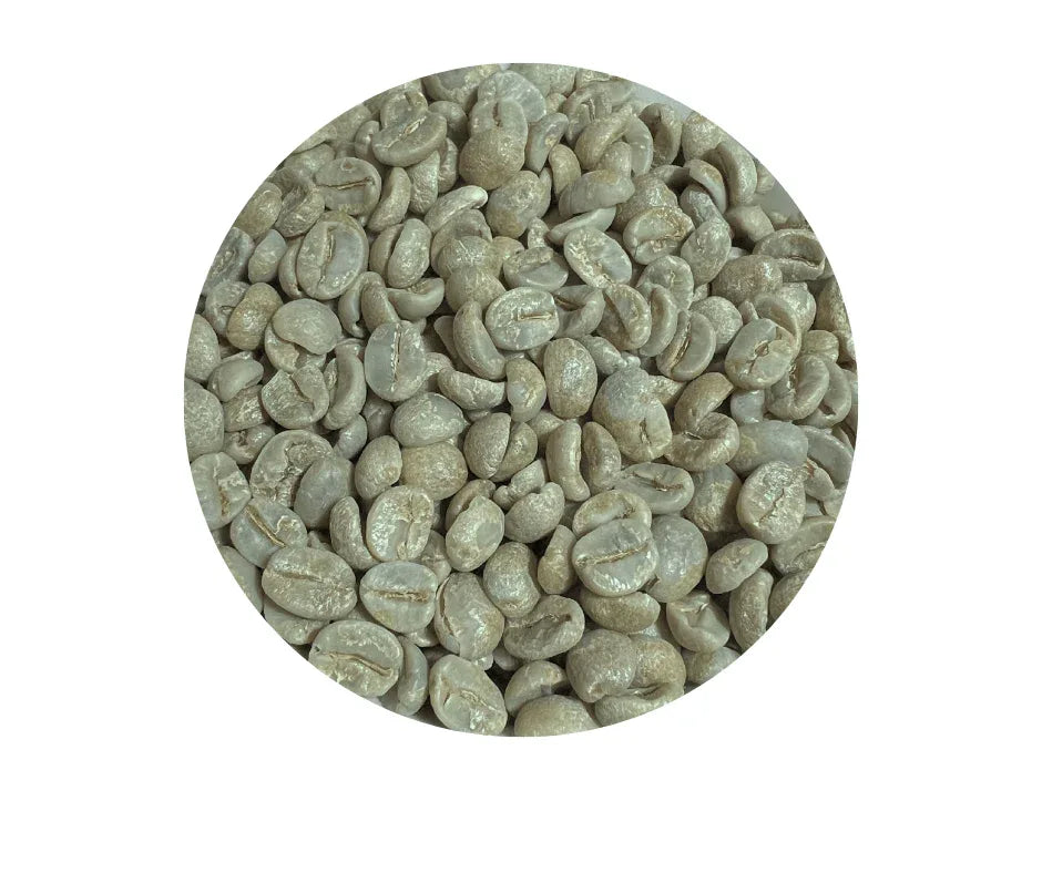 Brazil Cerrado Green Coffee Beans - ROASTIKA