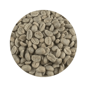 Colombia Supremo raw green Arabica coffee beans close-up, unroasted, Roastika specialty