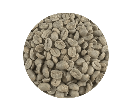 Colombia Supremo raw green Arabica coffee beans close-up, unroasted, Roastika specialty