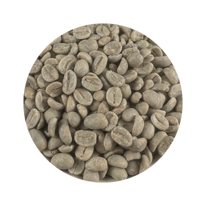 Roastika Colombia Supremo green coffee beans close-up of raw Arabica coffee beans