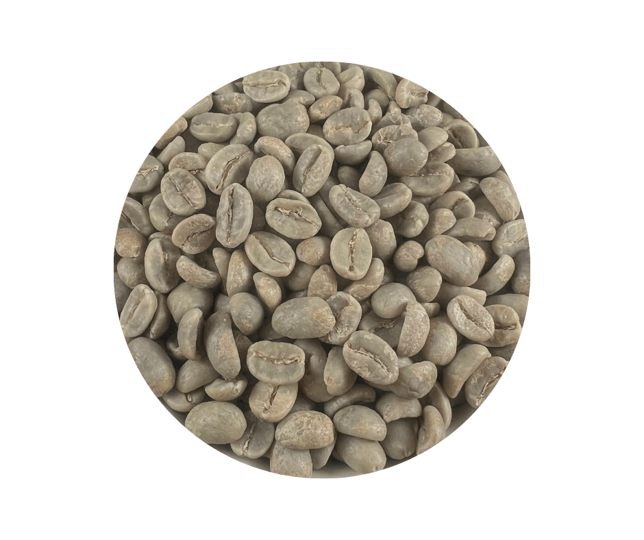 Roastika Colombia Supremo green coffee beans close-up of raw Arabica coffee beans