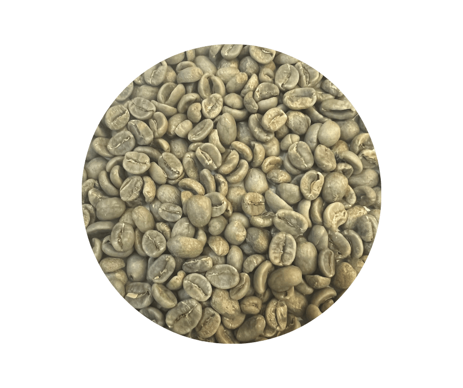 Costa Rica Tarrazu - ROASTIKA