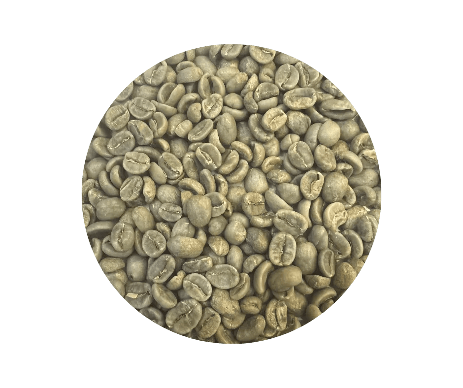 Costa Rica Tarrazu Green Coffee Beans - ROASTIKA