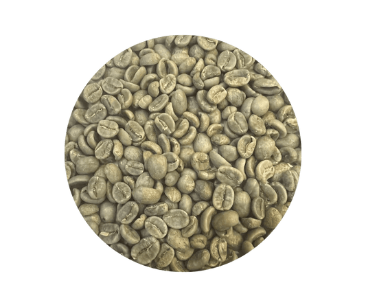 Costa Rica Tarrazu Green Coffee Beans - ROASTIKA