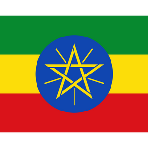 Ethiopia Yirgacheffe Coffee - ROASTIKA