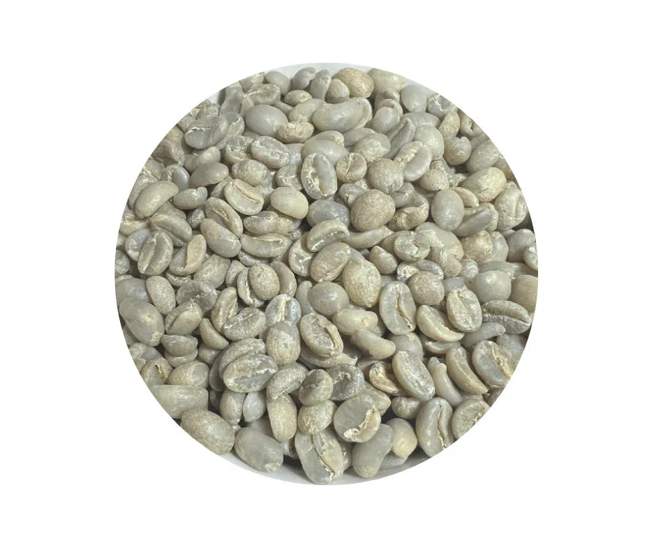 Ethiopia Yirgacheffe Green Coffee Beans - Washed Process - ROASTIKA