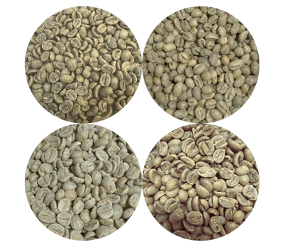 Green Coffee Sampler Pack - 4 Origins - ROASTIKA