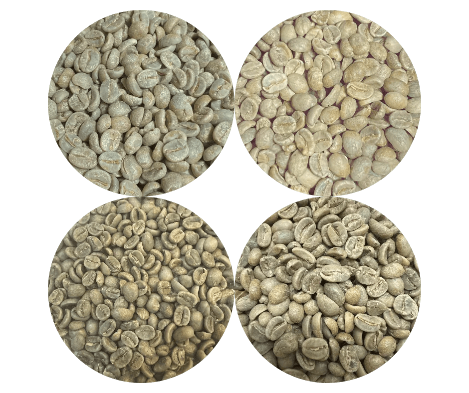 Green Coffee Sampler Pack - 4 Origins - ROASTIKA
