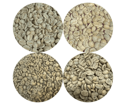 Green Coffee Sampler Pack - 4 Origins - ROASTIKA