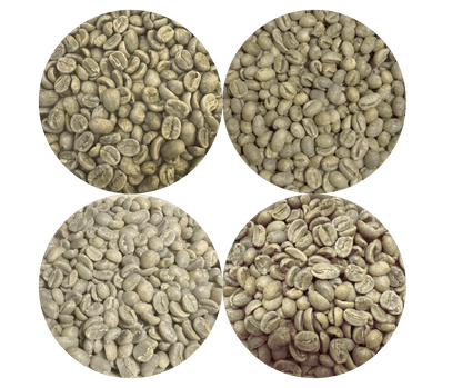 Green Coffee Sampler Pack - 4 Origins - ROASTIKA