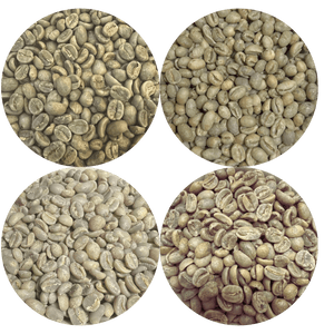 Green Coffee Sampler Pack - 4 Origins - ROASTIKA