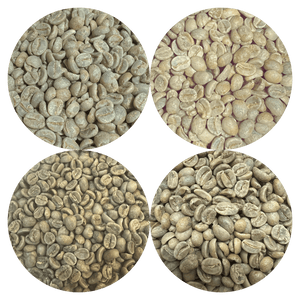 Green Coffee Sampler Pack - 4 Origins - ROASTIKA