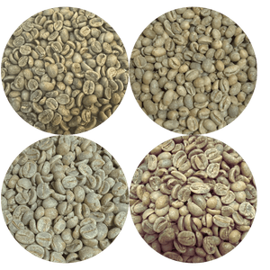 Green Coffee Sampler Pack - 4 Origins - ROASTIKA